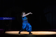WHHS Aladdin  (BR3_8625)