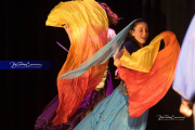 WHHS Aladdin  (BR3_8744)