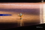 WHHS Aladdin  (BR3_9097)