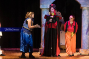 WHHS Aladdin  (BR3_9125)