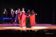 WHHS Aladdin  (BR3_9327)