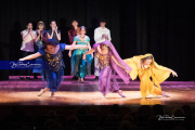 WHHS Aladdin  (BR3_9341)