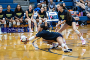 Volleyball Scrimmage at West Henderson (BR3_3468)