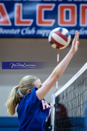 Volleyball Scrimmage at West Henderson (BR3_3516)
