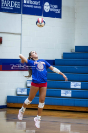 Volleyball Scrimmage at West Henderson (BR3_3611)