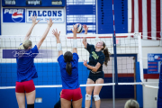 Volleyball Scrimmage at West Henderson (BR3_3698)