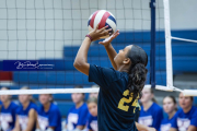 Volleyball Scrimmage at West Henderson (BR3_4098)