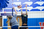 Volleyball Scrimmage at West Henderson (BR3_5206)