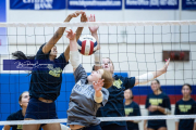 Volleyball Scrimmage at West Henderson (BR3_5250)