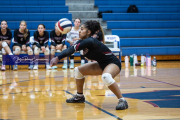 Volleyball Scrimmage at West Henderson (BR3_5546)