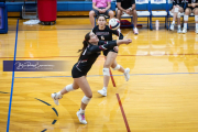 Volleyball Scrimmage at West Henderson (BR3_5762)