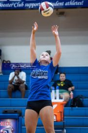 Volleyball Scrimmage at West Henderson (BR3_6221)