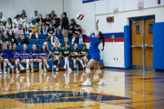 Volleyball Scrimmage at West Henderson (BR3_6404)