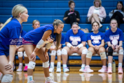 Volleyball Scrimmage at West Henderson (BR3_6707)