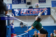 Volleyball Scrimmage at West Henderson (BR3_6842)