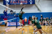 Volleyball Scrimmage at West Henderson (BR3_6913)