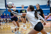 Volleyball Scrimmage at West Henderson (BR3_7020)