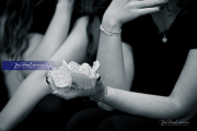 BR3_0693.CR3