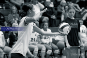 BR3_2628.CR3
