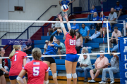 BR3_8858.CR3