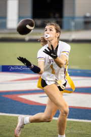 BR3_8317.CR3