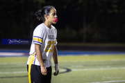 BR3_9313.CR3