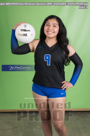PCHS Girls VB Senior Banners (BRE_5445)