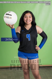 PCHS Girls VB Senior Banners (BRE_5451)