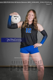PCHS Girls VB Senior Banners (BRE_5398)