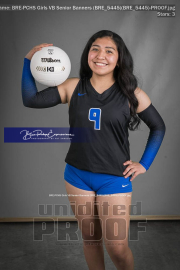 PCHS Girls VB Senior Banners (BRE_5445)