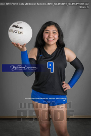 PCHS Girls VB Senior Banners (BRE_5449)