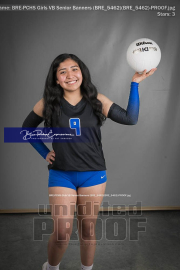 PCHS Girls VB Senior Banners (BRE_5462)