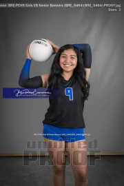 PCHS Girls VB Senior Banners (BRE_5464)