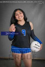 PCHS Girls VB Senior Banners (BRE_5468)