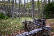 Spring in Mills River