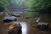 Mills River Morning