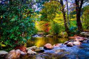 Autumn Watercolors
