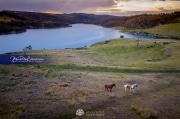 Lyell-Lake