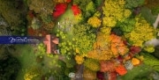 Mount-Wilson-Aerial-V