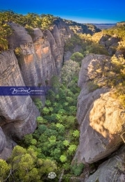 Valley-of-the-Dinosaurs-I