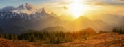 Landscape-03